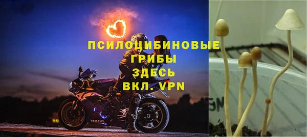 ешки Волосово