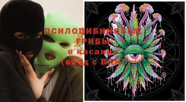 шишки Волоколамск